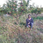  ,   Armen, 36 ,   ,   