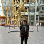 ���������� �����-���������, ���� ������� ����������, 48 ���, ������������ ��� c�������� ���������