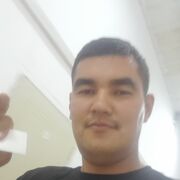  ,  LION, 31