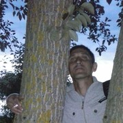  ,   , 49 ,   