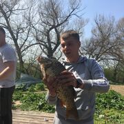 ���������� ���������, ���� ������� ��������, 44 ����, ������������ ��� ������, ����� � ���������, c�������� ���������