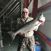 ���������� �����������, ���� ������� �������, 45 ���, ������������ ��� ������, ����� � ���������