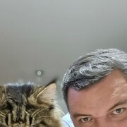  ,   , 45 ,   