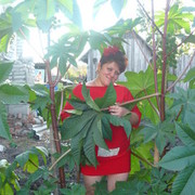 ���������� ������, ���� ������� ������, 41 ���, ������������ ��� ������, ����� � ���������, c�������� ���������