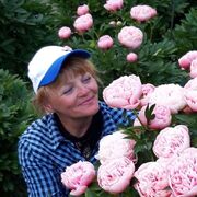 ���������� ���������, ���� ������� �������, 62 ����, ������������ ��� ������, ����� � ���������, ���������