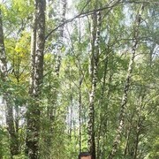 ���������� ������, ���� ������� � �����, 37 ���, ������������ ��� ������, ����� � ���������