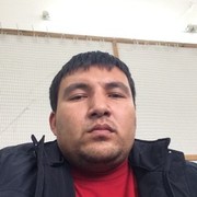 ���������� �������, ���� ������� DONIYOR, 40 ���, ������������ ��� ������, ����� � ���������, c�������� ���������