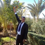  ,   Simcim, 52 ,   ,   , c 