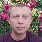  ,  , 41