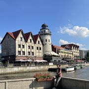 ���������� �������, ���� ������� ������, 42 ����, ������������ ��� ������, ����� � ���������