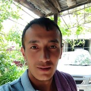  ,   Alisher, 31 ,   ,   