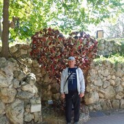  ,   , 50 ,   ,   , c , 