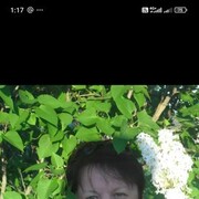  ,  , 56