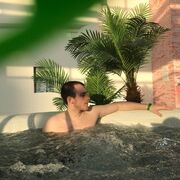 ���������� ����������, ���� ������� ������, 27 ���, ������������ 