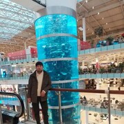  ,   , 38 ,   ,   