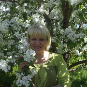 ���������� ������, ���� ������� �����, 50 ���, ������������ ��� ������, ����� � ���������, c�������� ���������