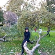  ,   Nadejda, 61 ,   ,   , c 