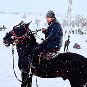 ���������� ���������, ���� ������� Shamsher, 34 ����, ������������ ��� ����� � ���������, c�������� ���������