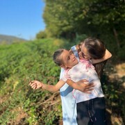 ���������� ���������, ���� ������� ��������, 33 ����, ������������ ��� ����� � ���������, c�������� ���������