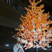 �������� ����� !