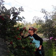 ���������� ������, ���� ������� �����, 44 ����, ������������ ��� ������, ����� � ���������, c�������� ���������