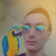 ���������� ������, ���� ������� ����, 29 ���, ������������ ��� ������, ����� � ���������, ���������