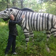 ���������� �����������, ���� ������� ������, 48 ���, ������������ ��� ������, ����� � ���������, c�������� ���������