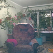  ,   , 59 ,   