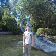 ���������� �����, ���� ������� �������, 36 ���, ������������ ��� ����� � ���������, c�������� ���������, ���������