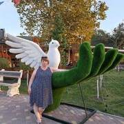  ,   , 55 ,     , c , 