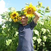 ���������� ������, ���� ������� �����, 41 ���, ������������ ��� ������, ����� � ���������, c�������� ���������