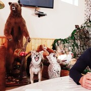 ���������� ���������, ���� ������� ������� ���, 45 ���, ������������ ��� ������, ����� � ���������