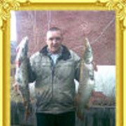 ���������� ����, ���� ������� ��������86, 40 ���, ������������ ��� ������