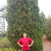 ���������� ����, ���� ������� ��������, 49 ���, ������������ ��� ������, ����� � ���������, c�������� ���������