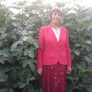  ,   , 74 ,  