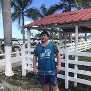 ���������� ������, ���� ������� ����, 41 ���, ������������ ��� ������, ����� � ���������