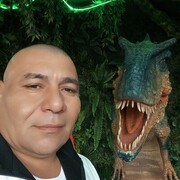  ,   , 42 ,   ,   