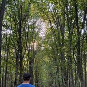 ���������� ���������, ���� ������� ����, 33 ����, ������������ ��� ������, ����� � ���������