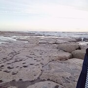  --,   Alysher, 21 ,   ,   , c 