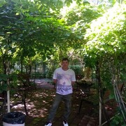 ���������� ��������, ���� ������� ��������, 45 ���, ������������ ��� ������, ����� � ���������