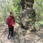 ���������� ������������, ���� ����� ���������, 24 ����, ������������ ��� ������, ����� � ���������