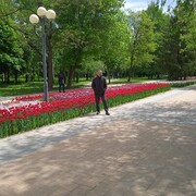 ���������� ��������, ���� ������� ��������, 52 ����, ������������ ��� ������, ����� � ���������