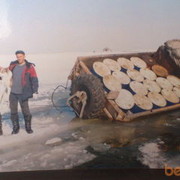 ���������� �������������-����������, ���� ������� ����28, 42 ����, ������������ ��� ����� � ���������, c�������� ���������