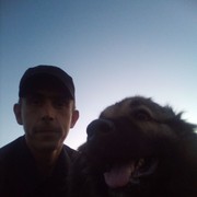 ���������� ������������, ���� ������� ������, 38 ���, ������������ ��� ����� � ���������, c�������� ���������