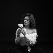 ���������� ������, ���� ������� �����, 24 ����, ������������ ��� ������, ����� � ���������