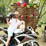 ���������� ���������, ���� ������� ������, 33 ����, ������������ ��� ������, ����� � ���������, c�������� ���������