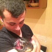 ���������� ������, ���� ������� �����, 31 ���, ������������ ��� ������, ����� � ���������, c�������� ���������