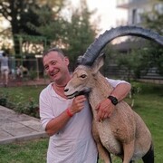  ,   , 44 ,   ,   