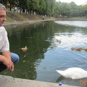  ,   2011, 50 ,     , c 