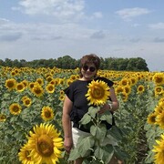 ���������� �����, ���� ������� ���, 54 ����, ������������ ��� c�������� ���������, ���������